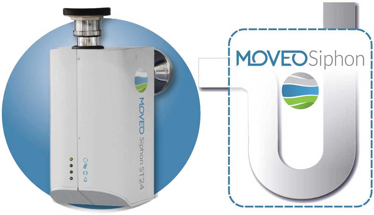Moveosiphon ST24